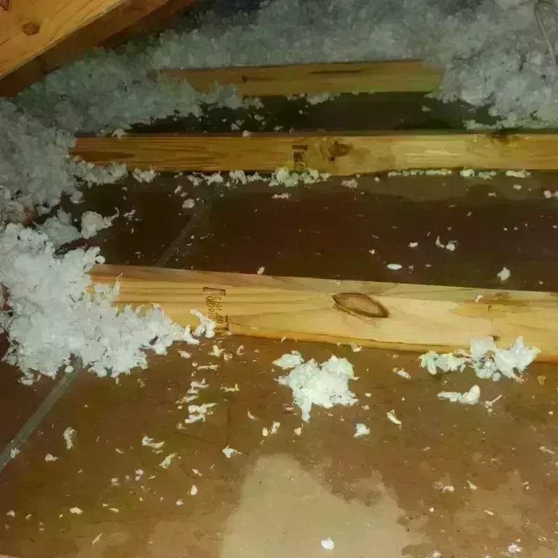 Attic Water Damage in Marlin, TX