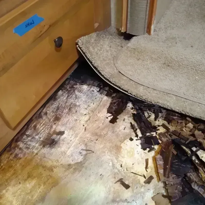 Best Wood Floor Water Damage Service in Marlin, TX